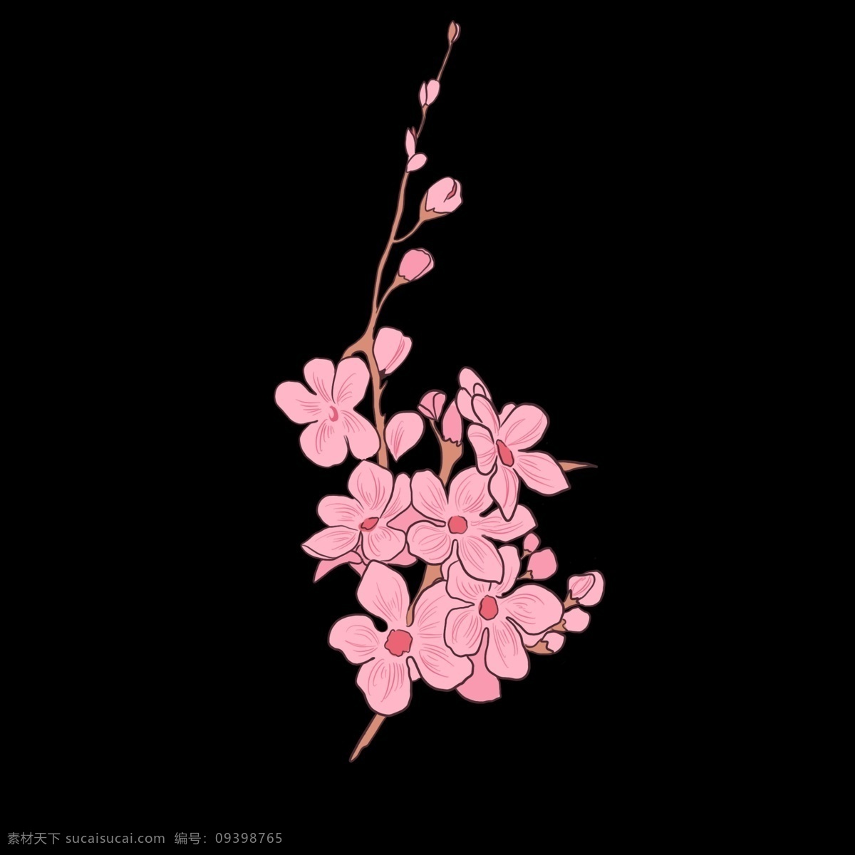 漂亮 樱花 卡通 插画 绽放的樱花 卡通插画 植物插画 樱花插画 樱花花朵 装饰樱花 漂亮的樱花