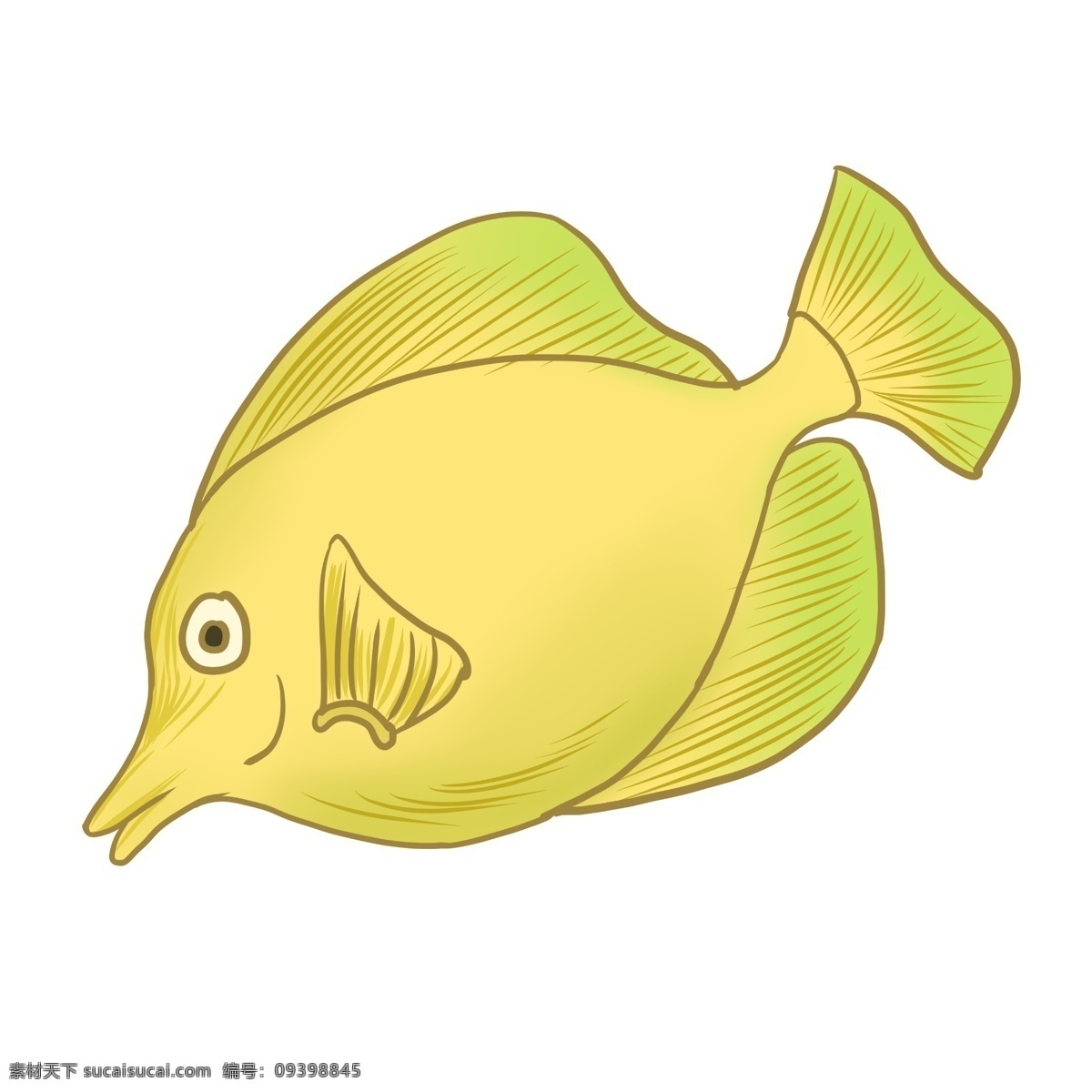 黄色 海洋 热带鱼 海洋生物