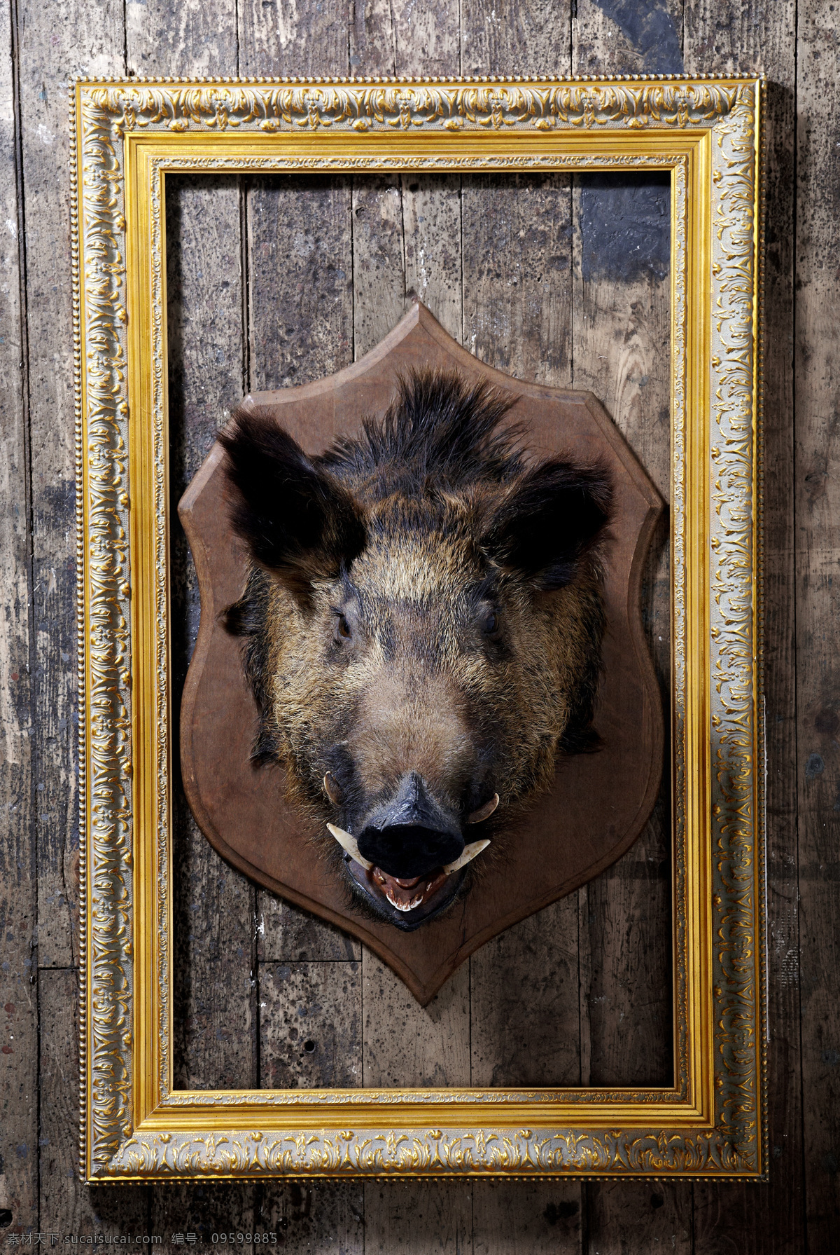 野猪 相框 猎物 画框 装饰画框 装饰品 其他类别 生活百科
