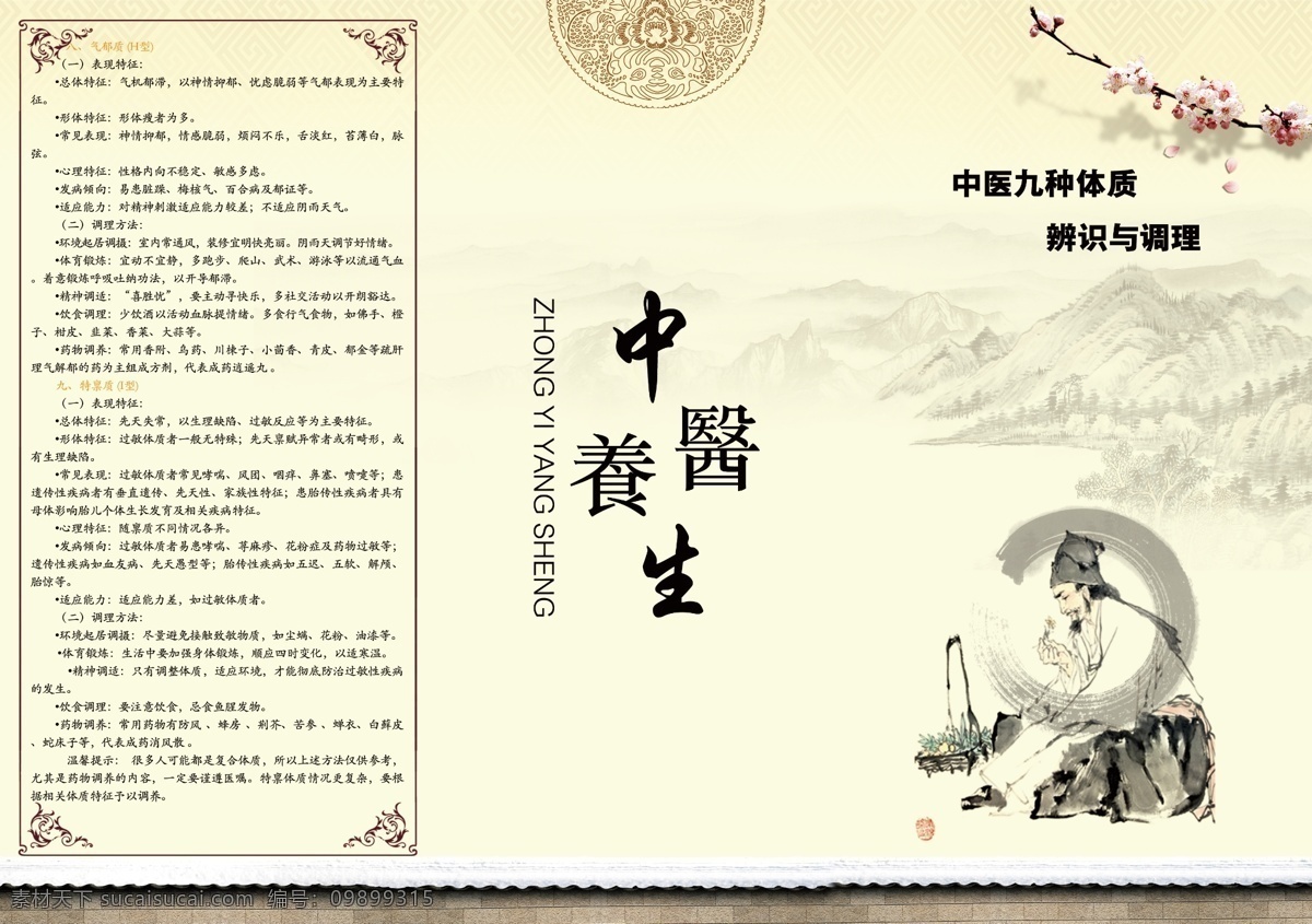 中医 九 种 体质 辨识 调理 画册 折页 三折页 宣传单 海报 文化艺术 传统文化