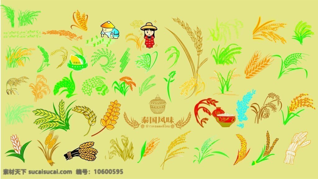 水稻 稻子 稻米 小孩 矢量图 五谷 杂粮 稻花 黄色