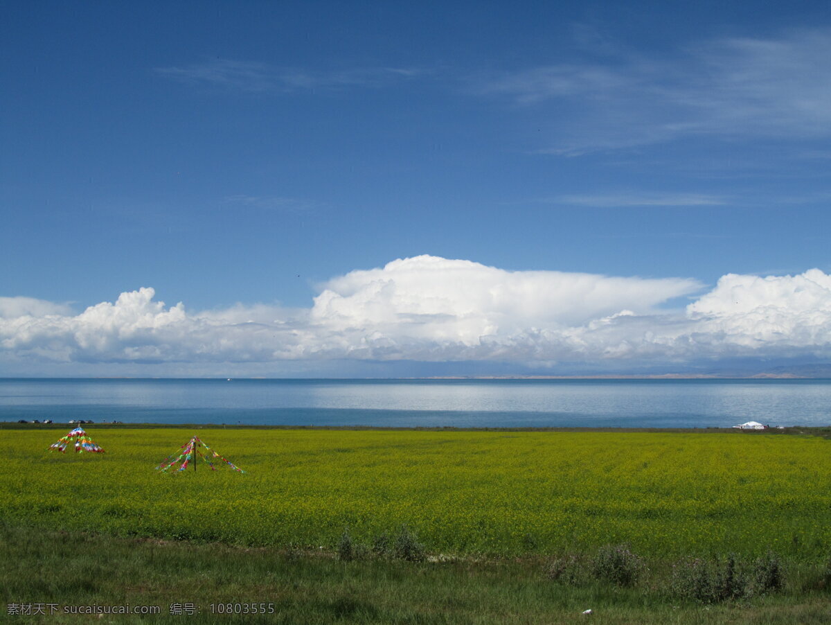 高原风光 草原 草 高山 西藏 青海 旅游 青藏高原 风景 风光 318国道边 318国道 云 旅游摄影 自然风景