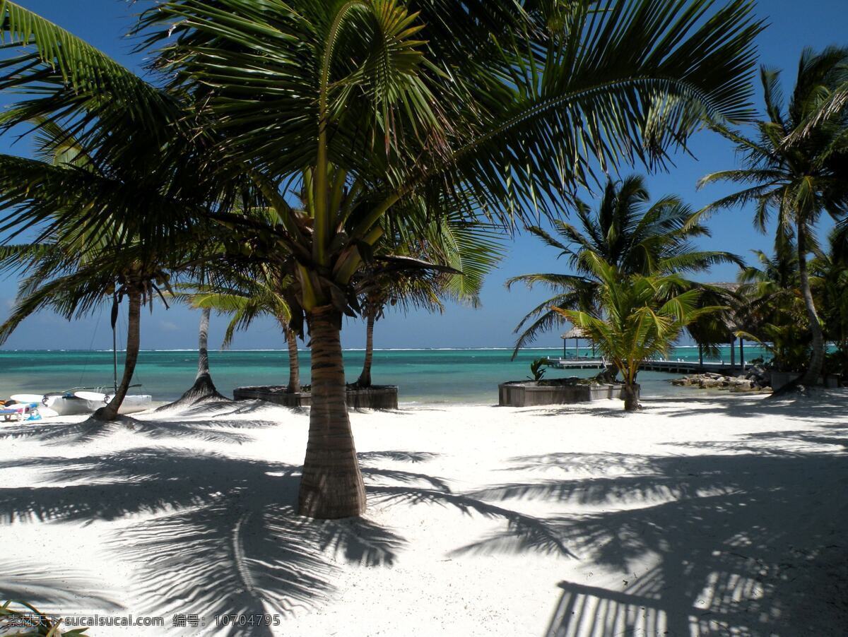 度假 胜地 椰树林 海边 海滩 生物世界 树木树叶 黄色沙子 psd源文件