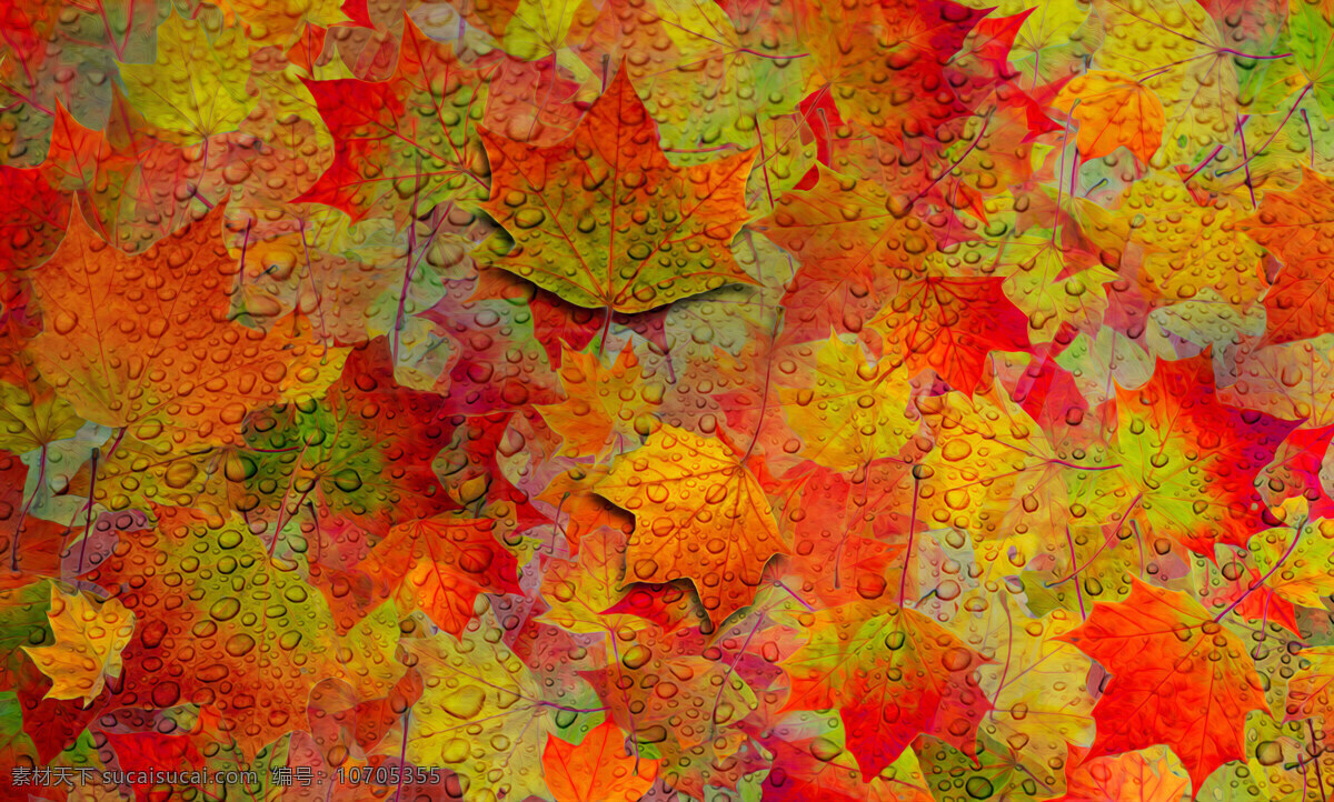 秋天 叶子 枫叶 红色 多彩的树叶 绿叶 黄色绿色 艺术 油画 背景素材 雨滴 底纹边框 背景底纹