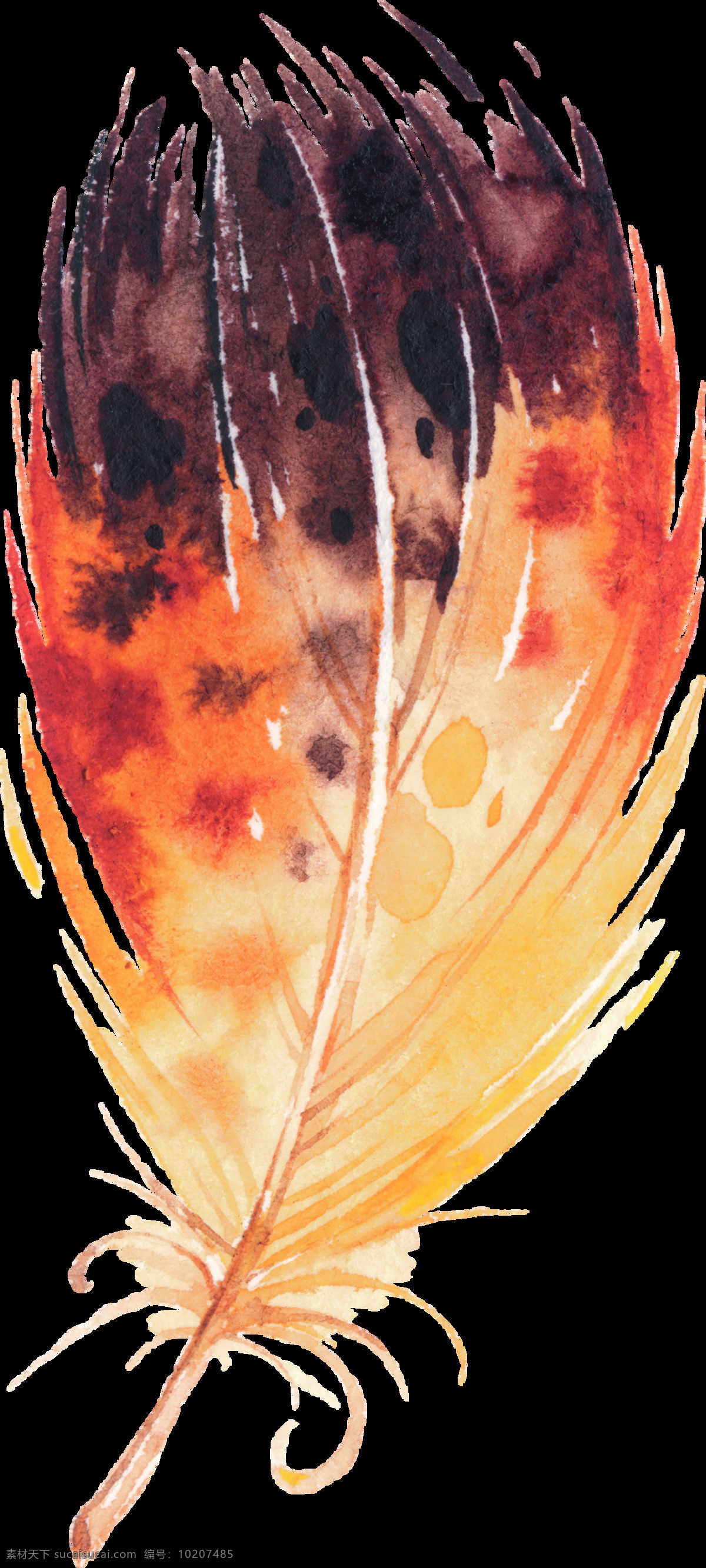 烈焰 羽翼 卡通 透明 羽毛 斑点 透明素材 免扣素材 装饰图案
