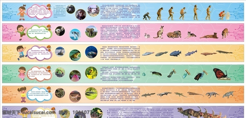 生命起源 进化 彩色 背景 生物 人类进化史 卡通小孩 哺乳动物 两栖动物 昆虫 爬行动物 鸟类 展板 展板模板