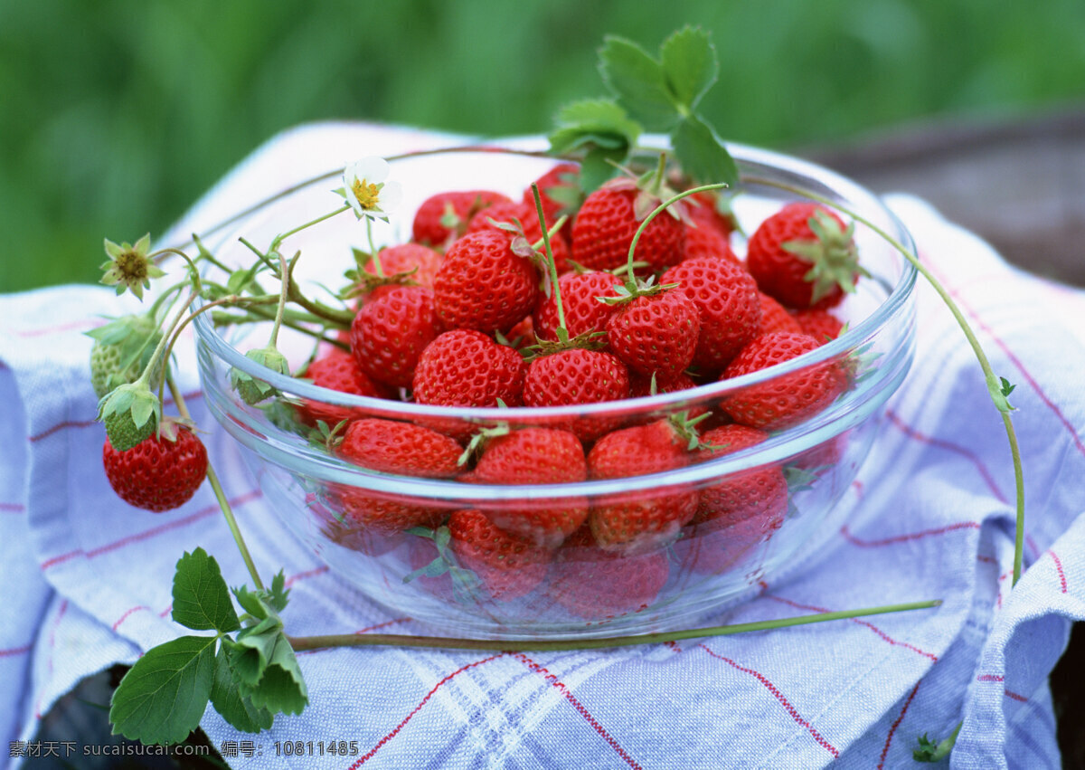 草莓 高清 瓜果 果盘 果实 食品 水果 水果素材 美味草莓 红色草莓 生物世界