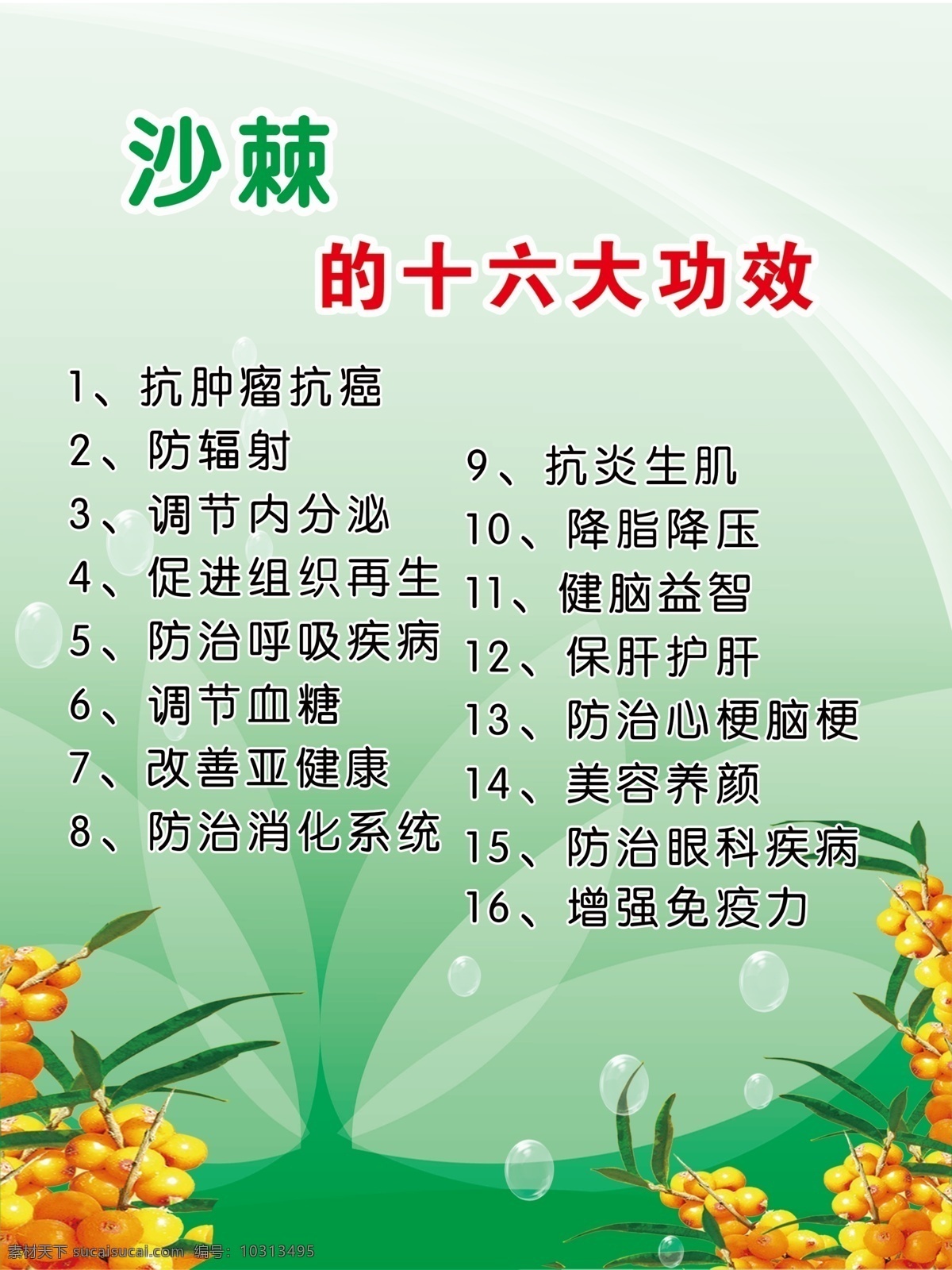 十六大功效 沙棘好处 沙棘用处 保健 分层