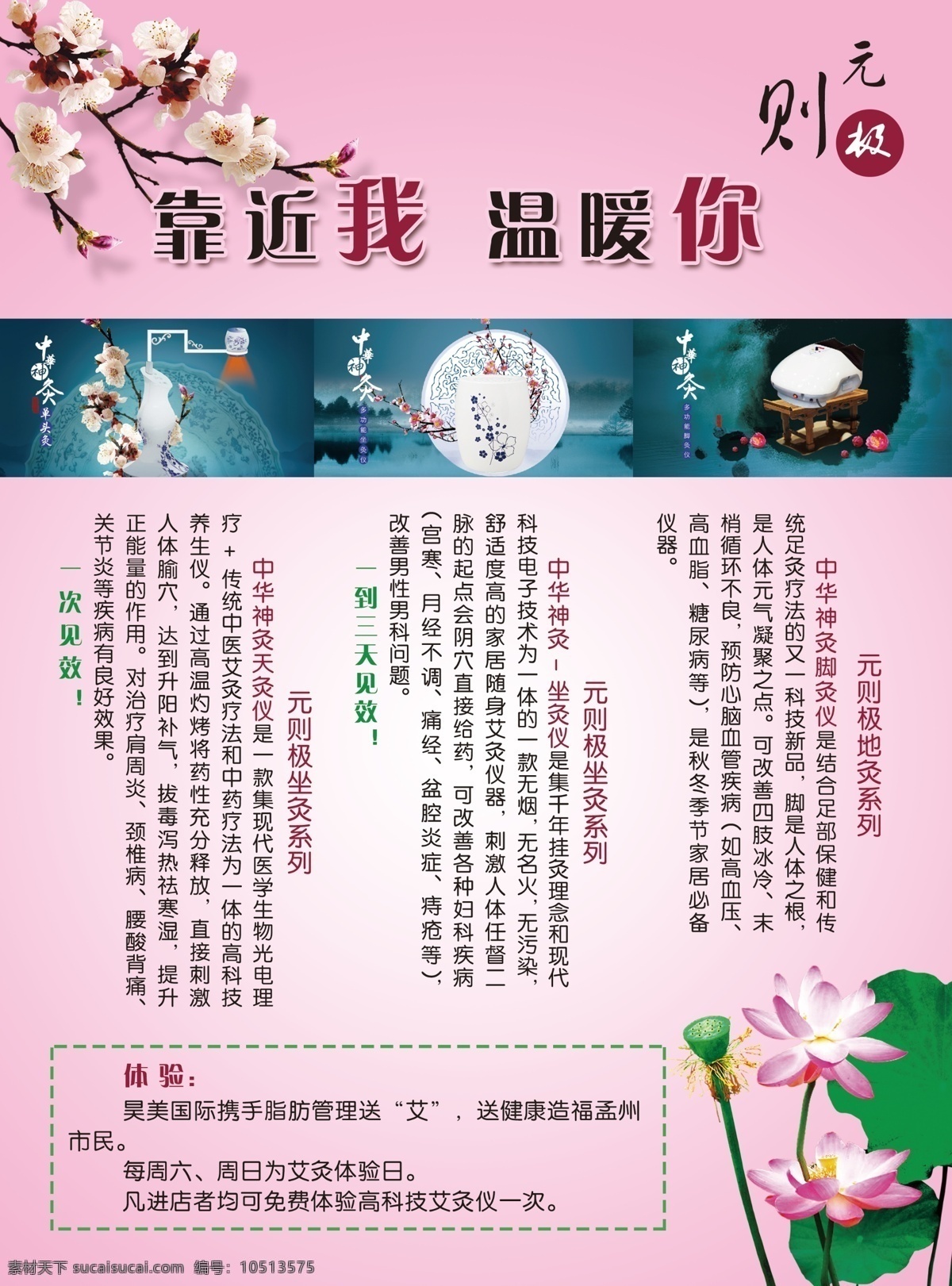 元则极 粉红色 桃花 荷花 天灸 地灸 坐灸