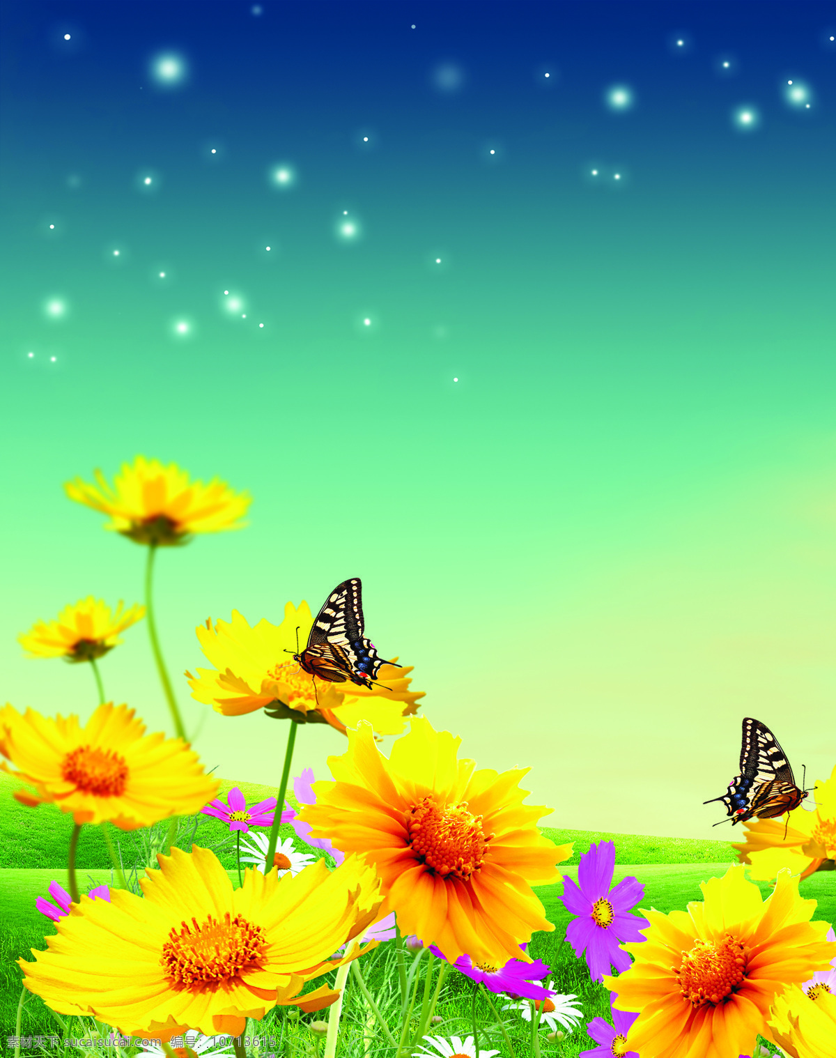 星空 恋曲 移门 图案 蝴蝶 菊花 草地 天空 星星 底纹背景 移门图案 文化艺术 移门图片 移门素材 移门图 玻璃移门 移门花纹 屏风图案 移门图库