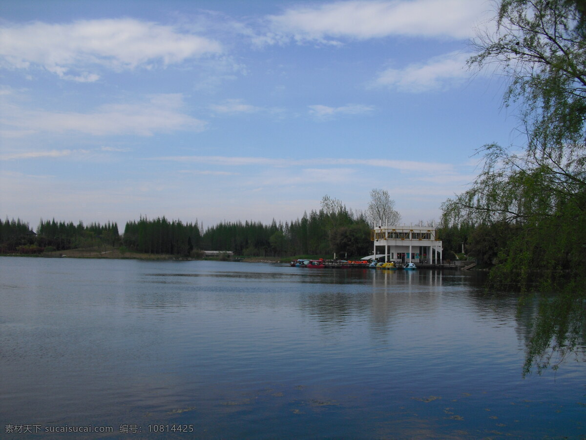 崇明岛 共青 森林公园 湖 公园湖 国内旅游 旅游摄影