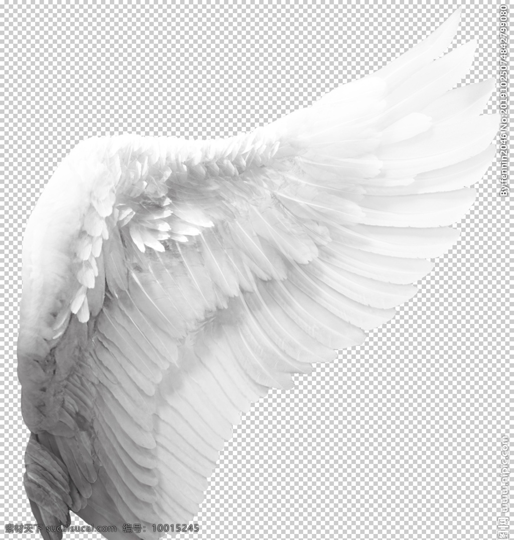 翅膀图案设计 唯美 白色 羽毛 漂浮 增效 天使翅膀 免抠png ps 影楼后期 创意 装饰图案 鸟类羽毛 动漫形象 水彩手绘 涂鸦