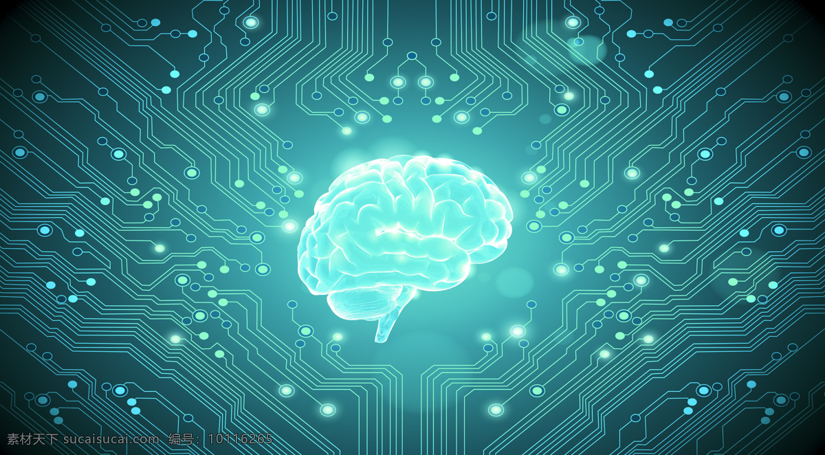 科技大脑背景 科技图片 科技背景 科技 背景 大脑 人脑 电路 蓝色 创意 创意背景 创意图片 创意设计 科技感