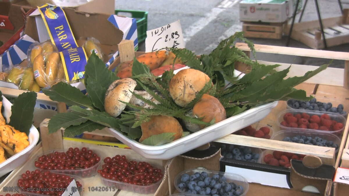 pinarola 蘑菇 浆果 冷冻 库存 录像 市场 视频免费下载 意大利 冻结 产生 其他视频