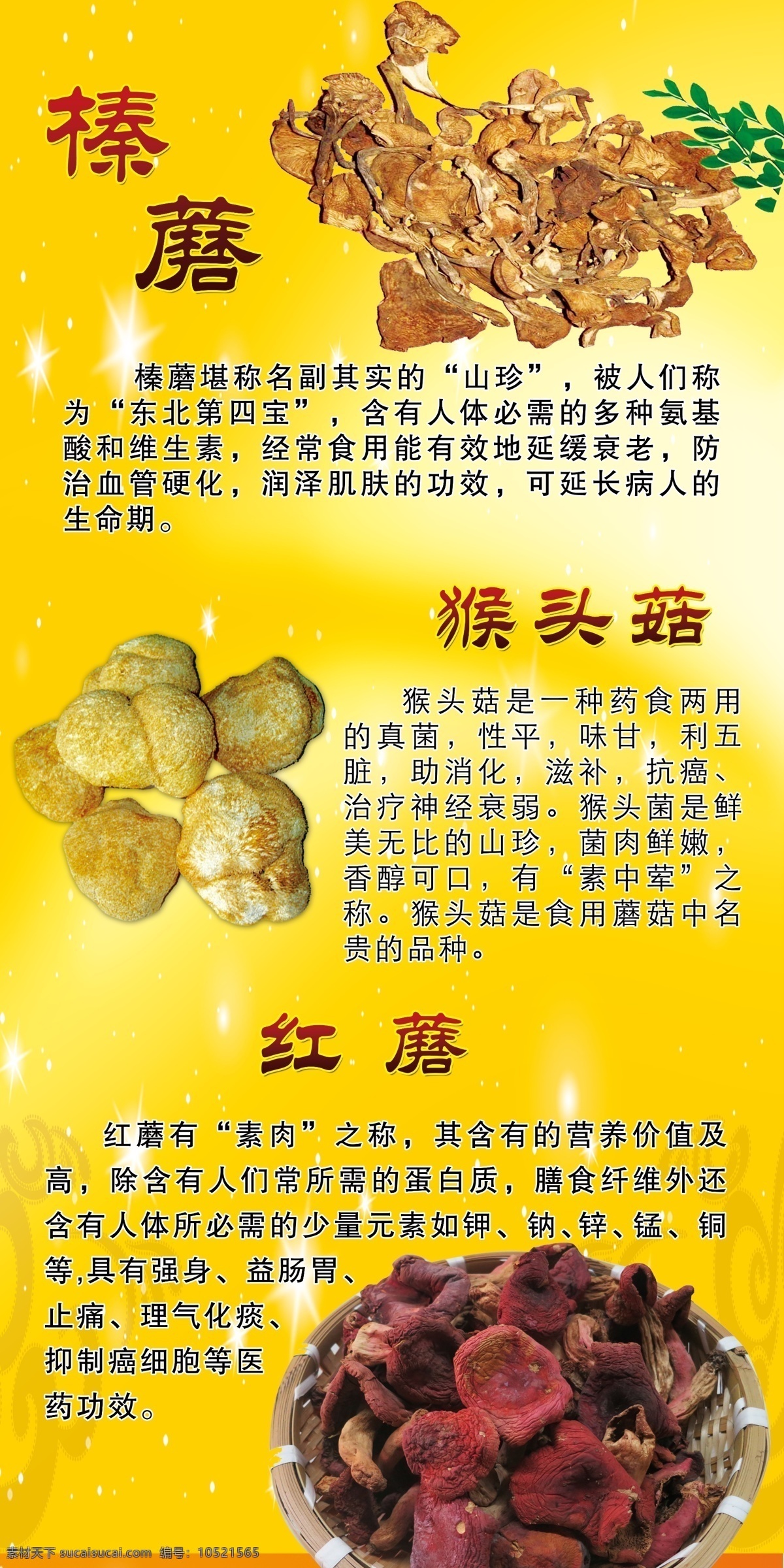 榛蘑 蘑菇 猴头菇 紅蘑 榛蘑的功效 猴头菇的功效 紅蘑的功效 展板模板