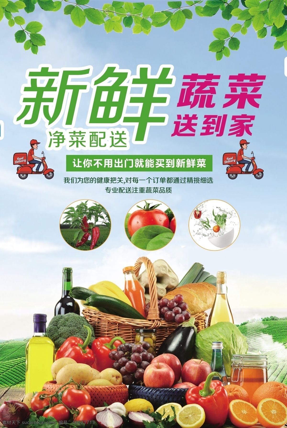 绿色 新鲜 蔬菜 净菜 配送 海报 广告 模板 蔬菜海报 净菜广告 蔬菜广告 净菜海报 蔬菜水果 蔬果 菜品 送货上门 外卖配送 背景 配送员 送到家 各类蔬菜 外卖订餐 买菜 新鲜蔬菜 蔬菜配送 绿色蔬菜 平面素材