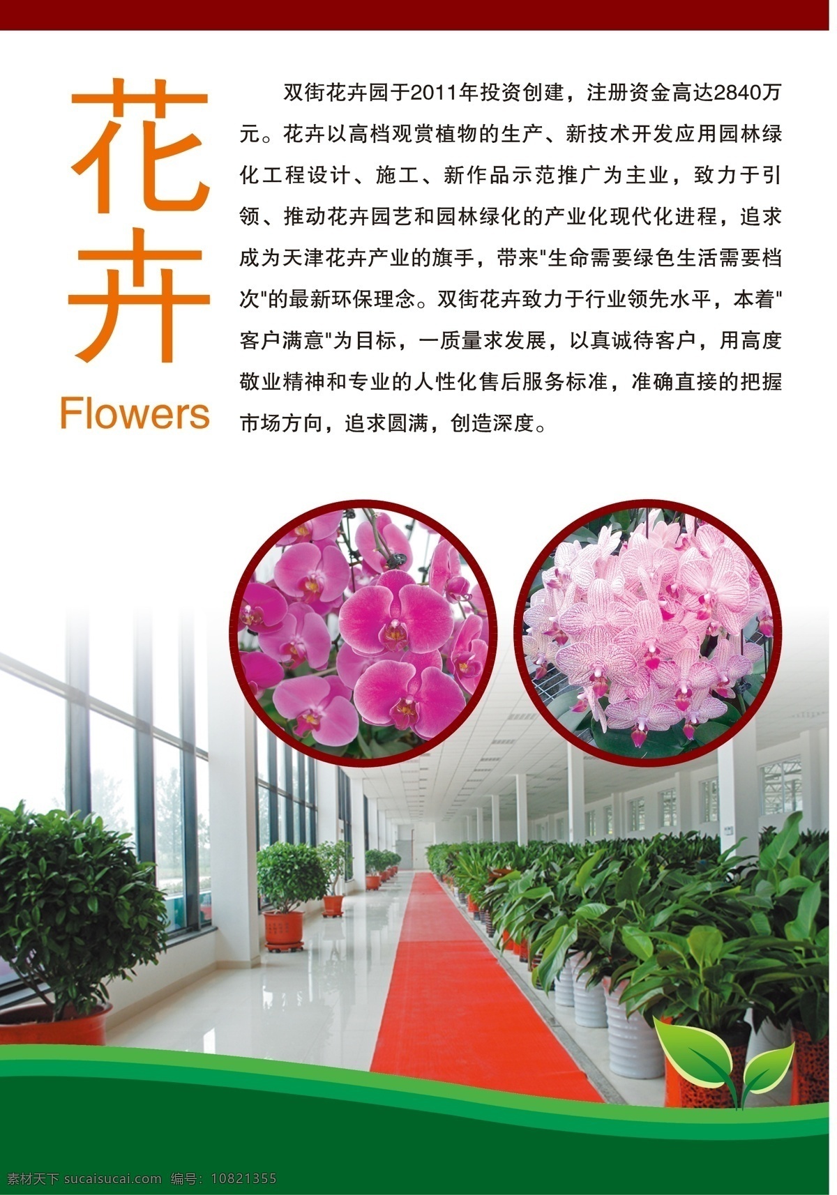 农业展板 花卉 海报 农业 展览 温室 大棚 培育 白色