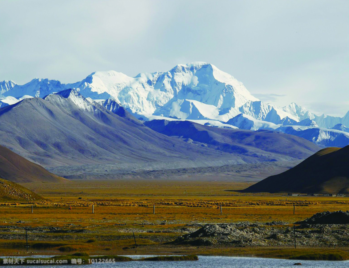 西藏 希夏邦马峰 远景 风景图片 湖水 湖面 水面 蓝天 白云 天空 树木 绿树 自然风景 自然景观
