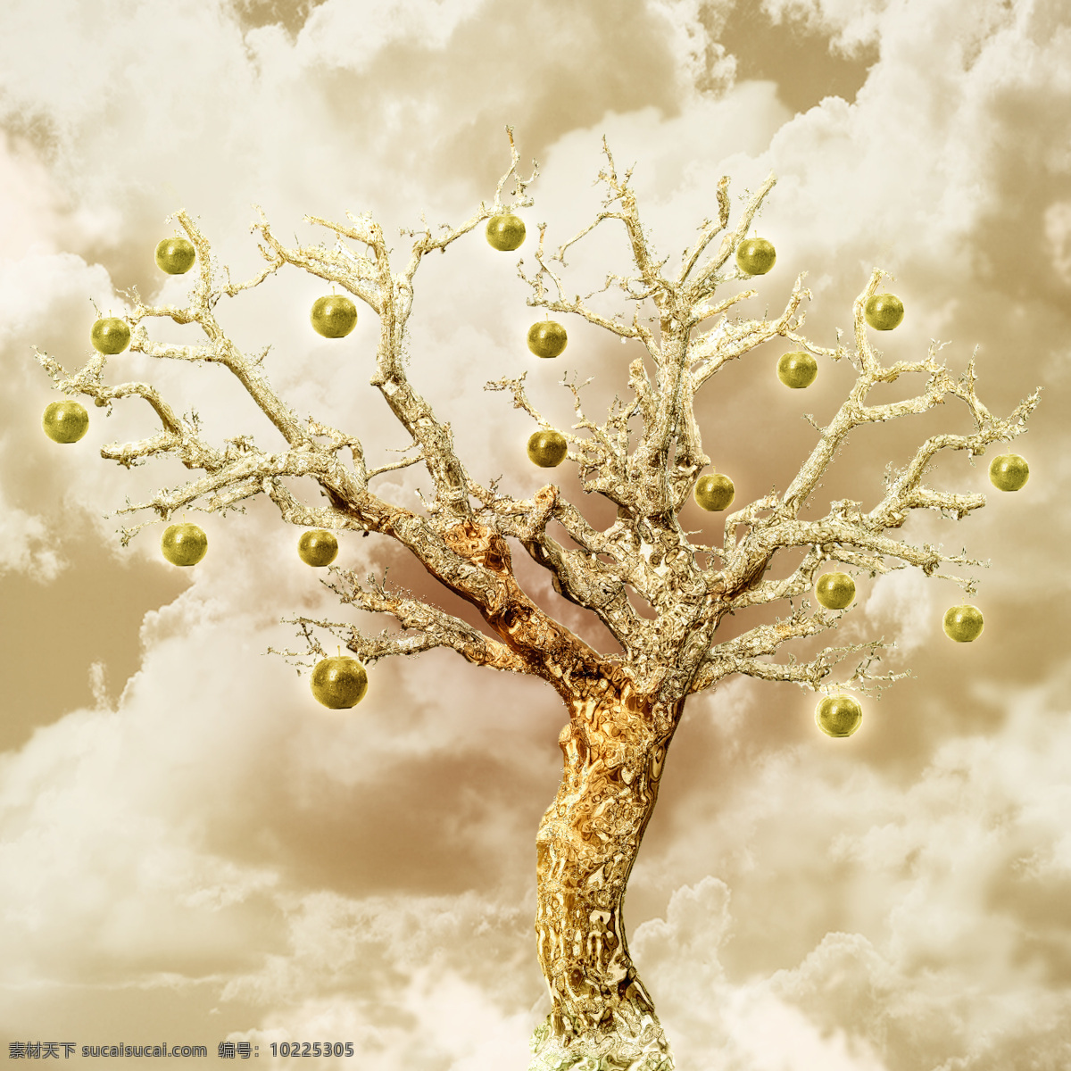 圣诞树 金色 金苹果 天空 树 白云 节日庆祝 文化艺术