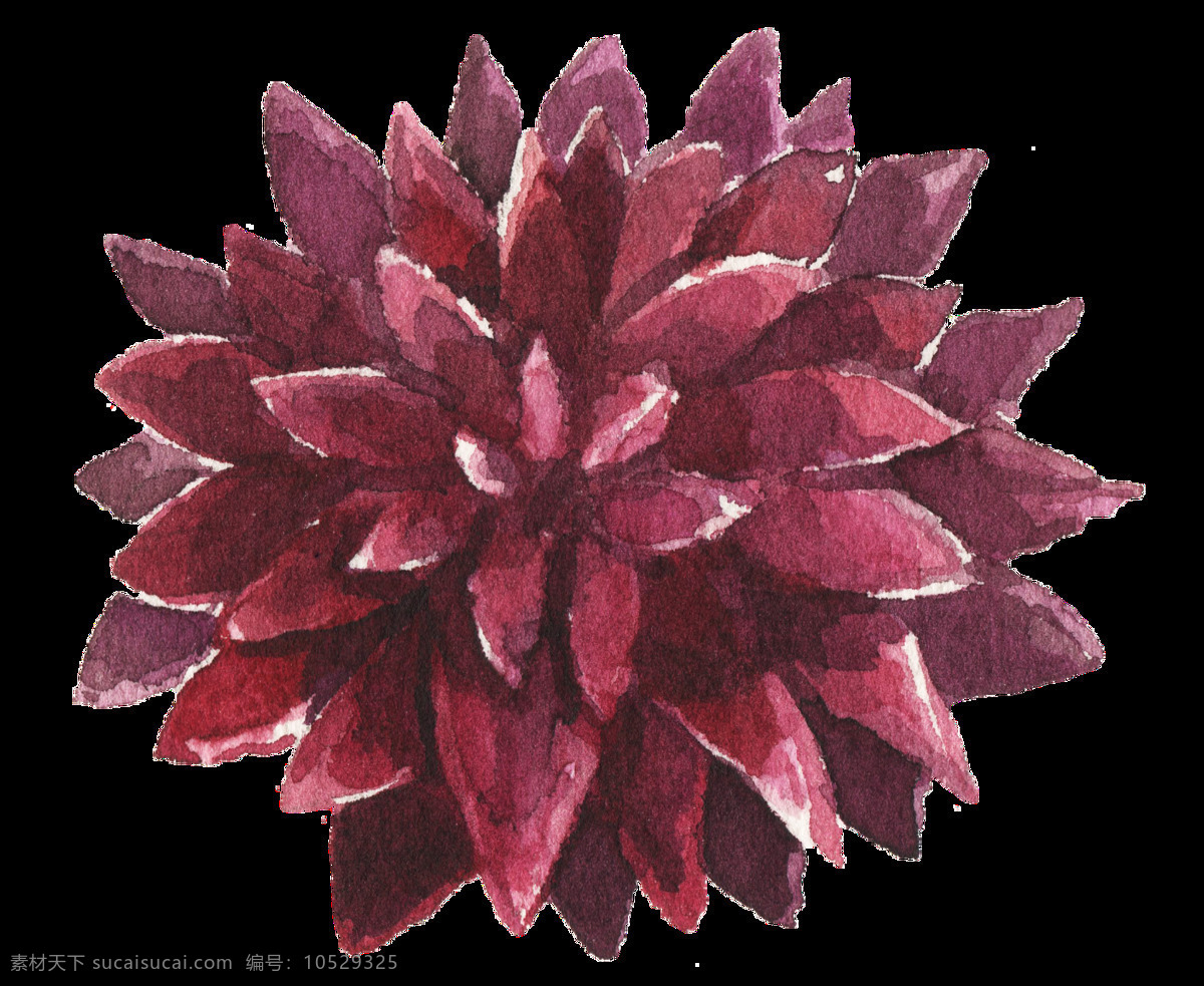 红色 带刺 花卉 透明 装饰 设计素材 背景素材