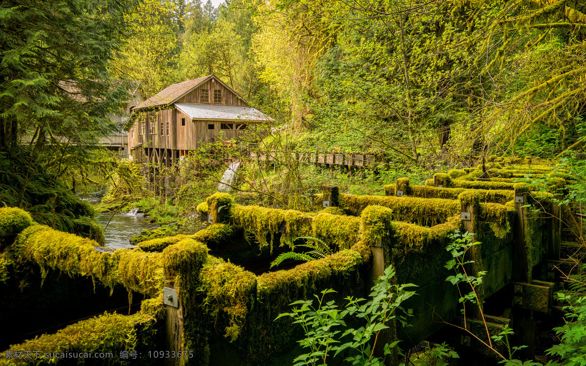 森林木屋 树林 房子 河流 原始森林 自然 木桥 瀑布 美丽自然 自然景观 自然风景