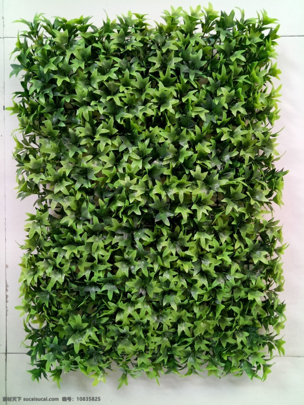 绿植墙 植被墙 绿叶墙 绿植墙素材 植物墙素材 植物墙背景 园林绿化 立体绿化 立体花坛 边框纹理