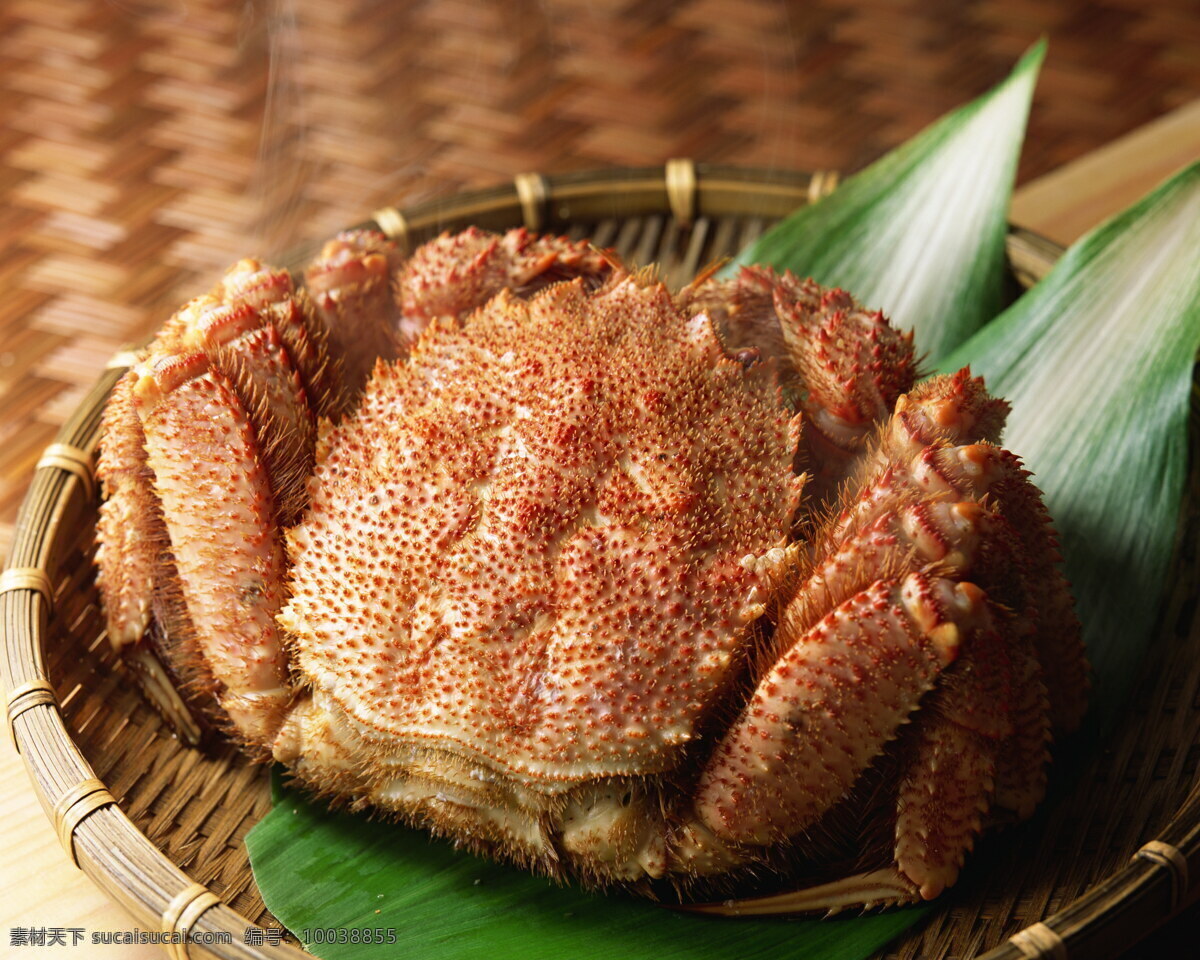 海鲜 美食 菜肴 海鲜美食 佳肴 美味 全方位 平面设计 辞典 特色菜 风景 生活 旅游餐饮