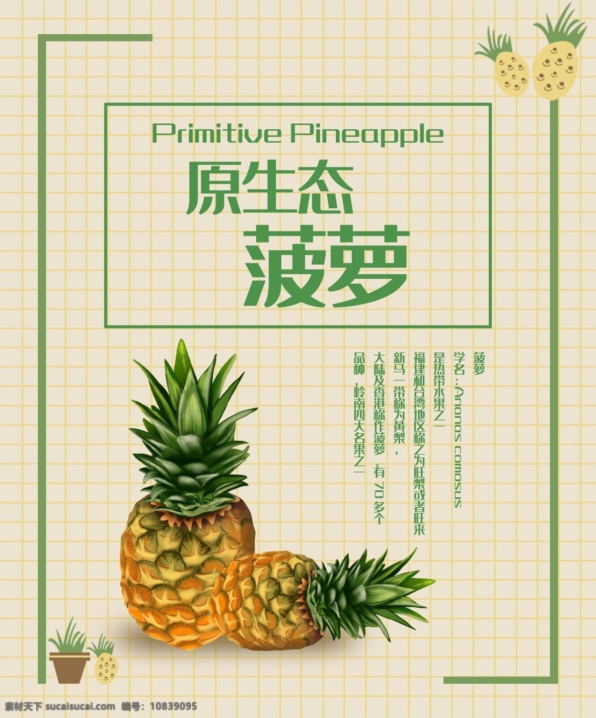 菠萝 水果 产品 包装盒 北欧 简约 风 包装设计 菠萝包装 产品包装 礼品盒 水果包装