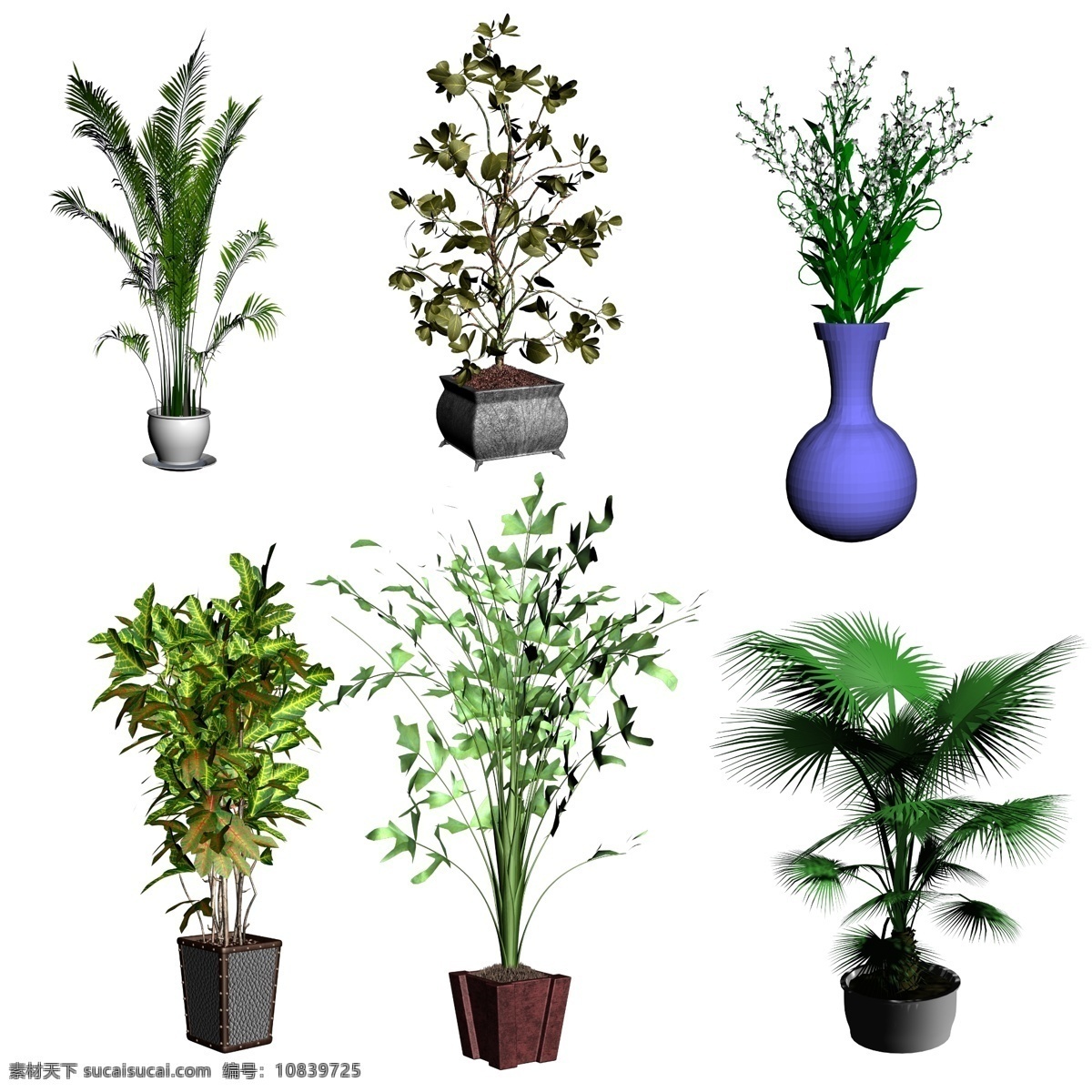 花卉盆景 室内室外盆栽 装饰盆栽 室内摆饰 绿色 植物 植物花盆 盆栽素材 盆栽大全 盆栽 花草盆栽 鲜花 绿色盆栽 室内植物 室内花卉 盆景 花盆 绿植 花艺 花卉 花草 鲜花盆栽素材 花朵盆栽 鲜花盆栽 绿色植物盆栽 绿植盆栽 绿色植物 小盆栽 花卉系列 盆栽盆景 花卉绿植盆栽 园林素材