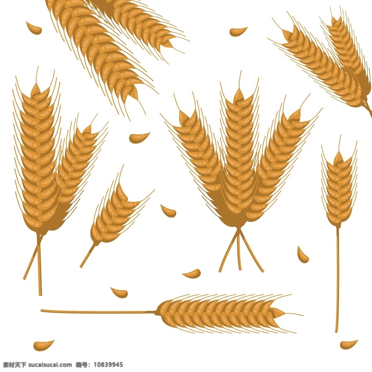 金色 麦穗 丰收 插画 元素 卡通插画 麦子 卡通 农业 设计元素 金色麦穗 手绘麦子 卡通小麦合集 金色小麦 成熟的麦穗 绿色植物