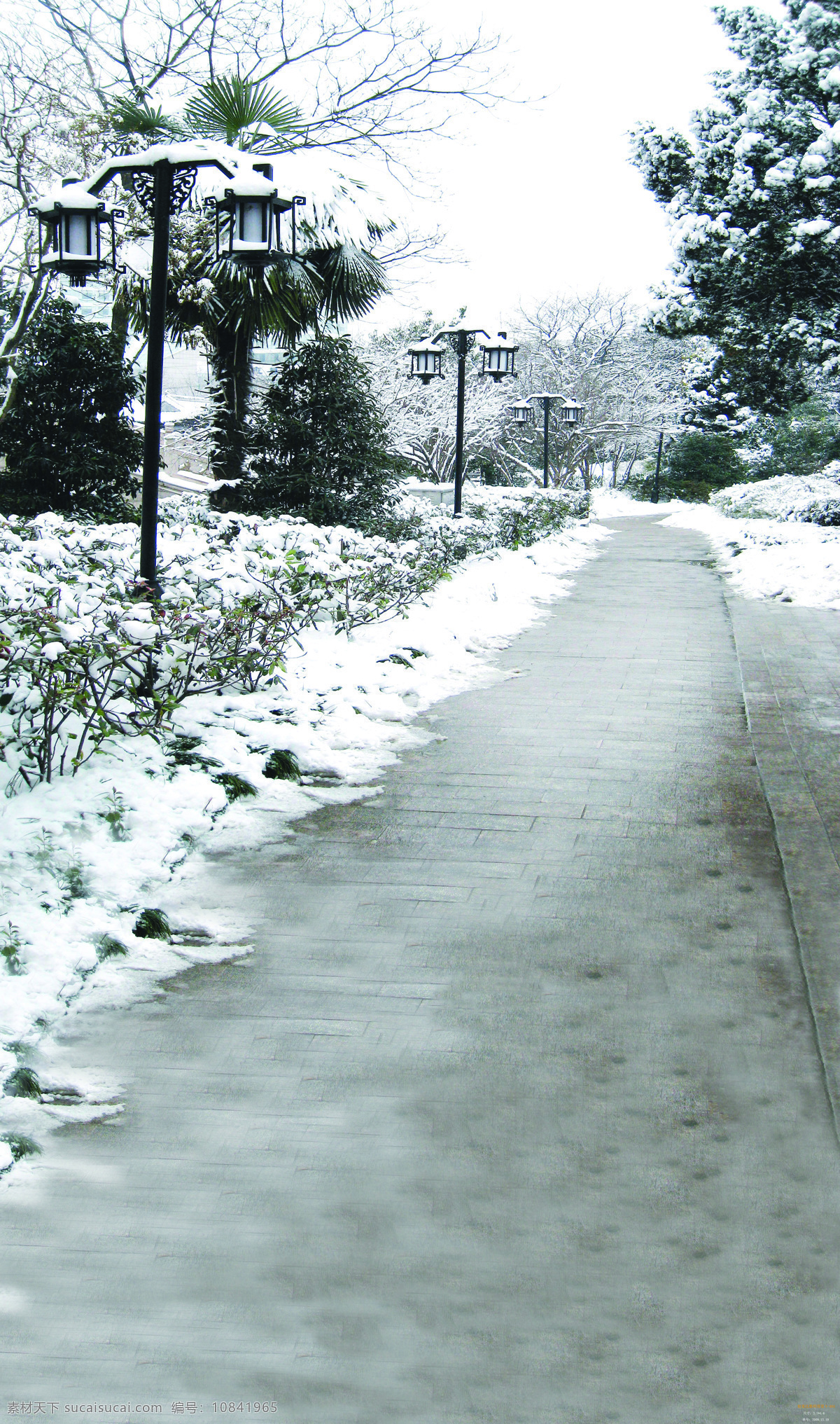 雪后 小路 冬季 冬天 雪地 雪景 走道 风景 生活 旅游餐饮