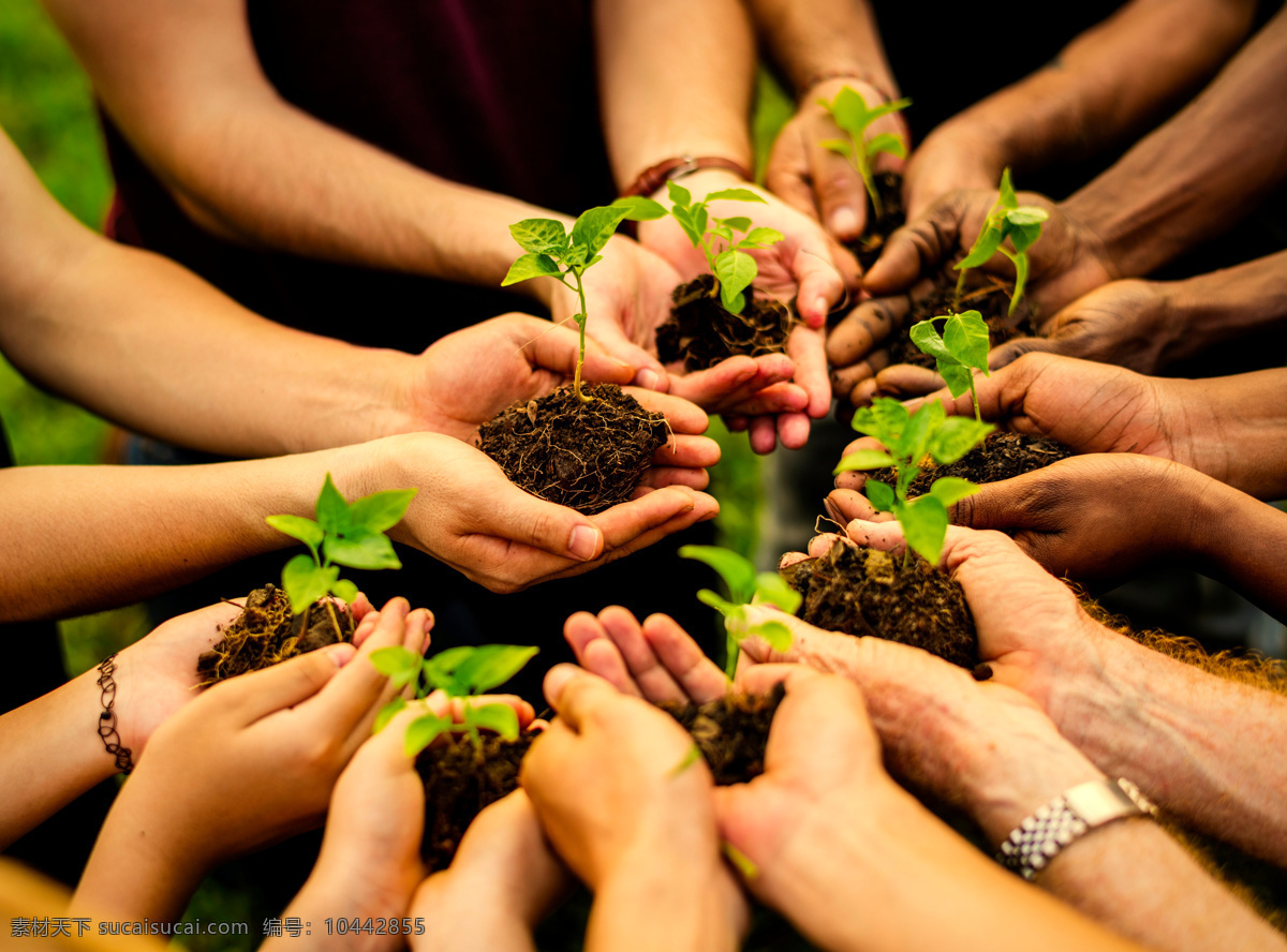 绿色环保携手 绿色 环保 携手 共同 众人 生命 发芽 树苗 绿芽 生计 生物世界 树木树叶