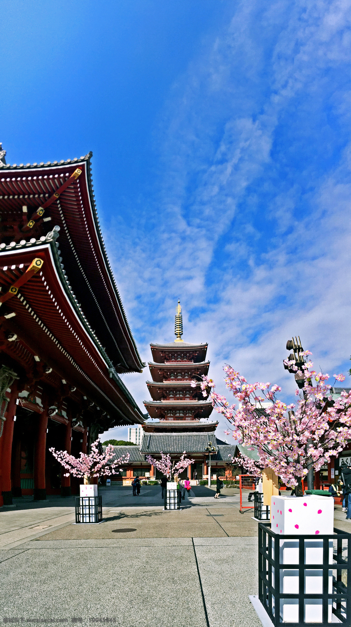 日本 浅 草 寺 宽幅 浅草寺 寺院 东京 大阪 樱花 旅游摄影 国外旅游