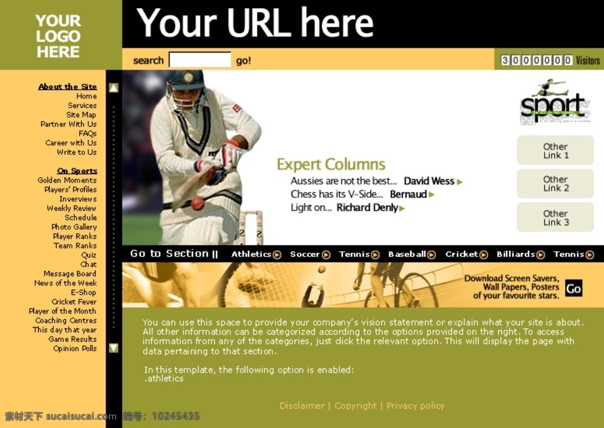 欧美 专业 运动 网站 模板 体育 网页模板 网页素材 网页代码