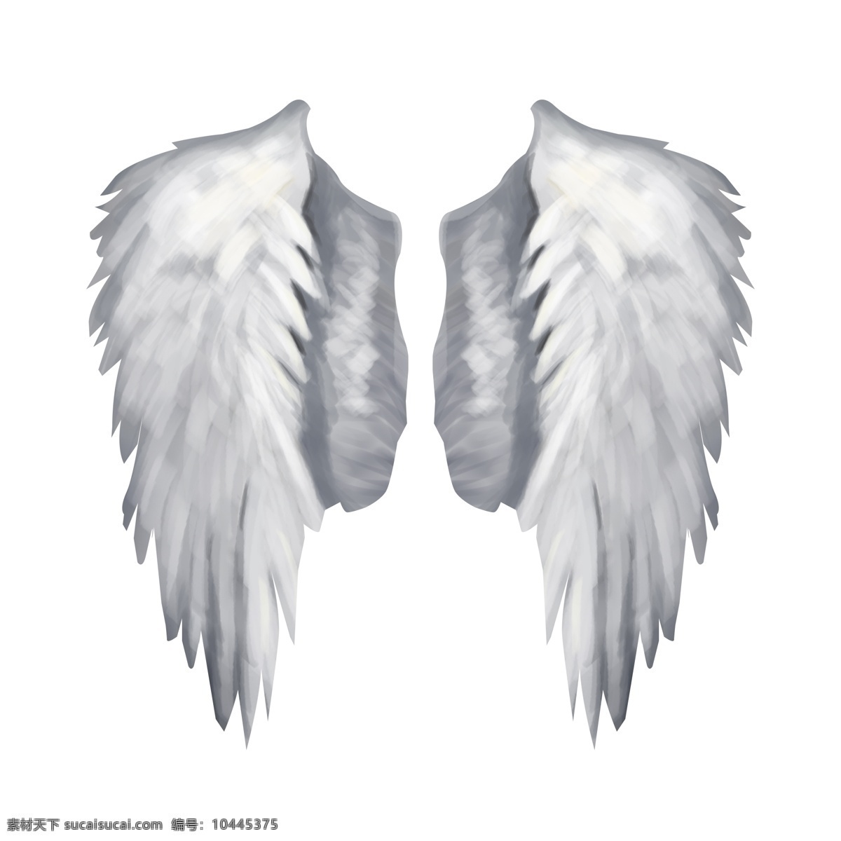 写实 天使 翅膀 元素 天使的翅膀 扇动 柔软 洁白 炫酷 白色 羽毛 羽翼 翱翔 飞翔 飞行