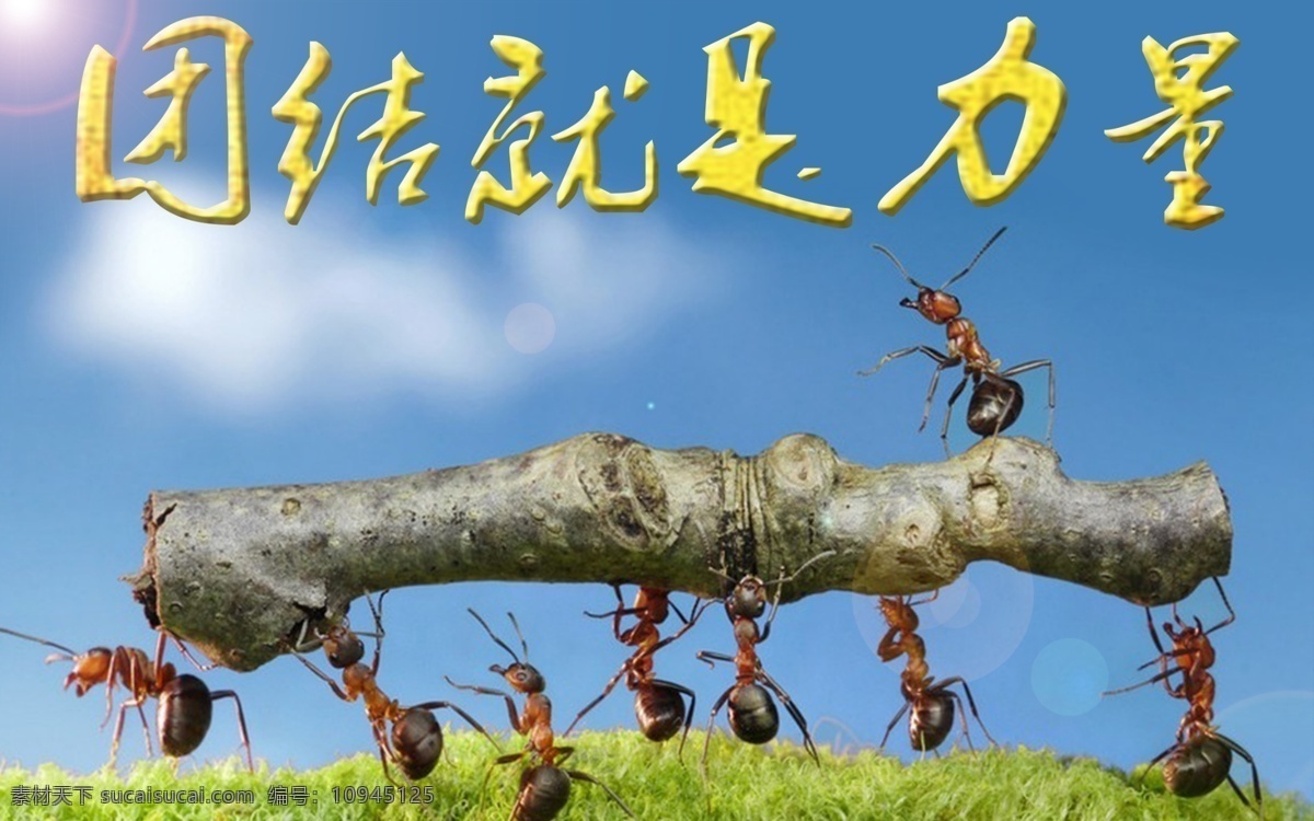 企业 文化 海报 广告 团结 就是 力量 励志 大气 通用 蚂蚁 动物 鼓励 企业文化