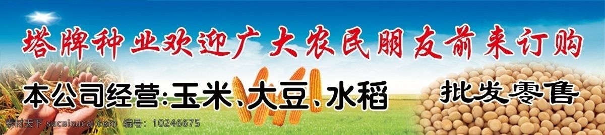种子广告 种子 种植 田地 大豆 水稻 牌匾 农业 农民