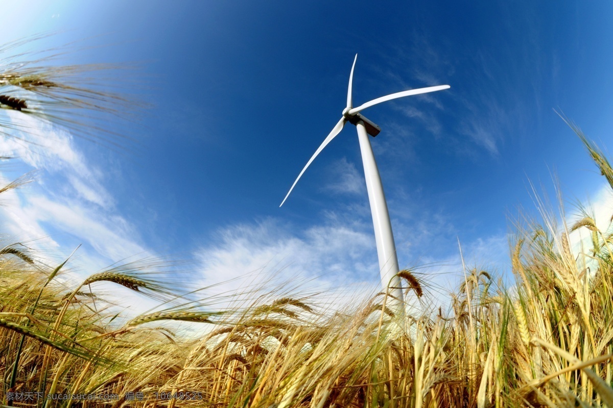 风车 电力风车 风力发电 绿色环保 蓝天 白云 草地 草原 小麦 麦田 大风车 工业生产 现代科技 自然风光 自然景观