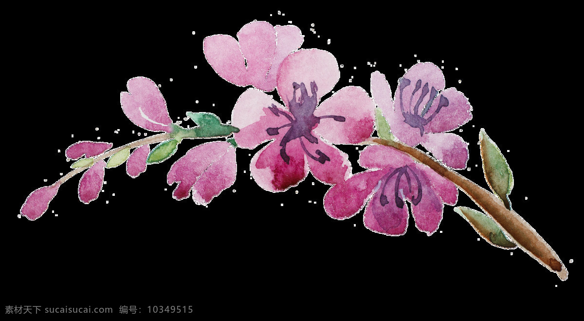 玫 红桃 花枝 卡通 透明 装饰 花束 枝叶 透明素材 免扣素材 装饰图案