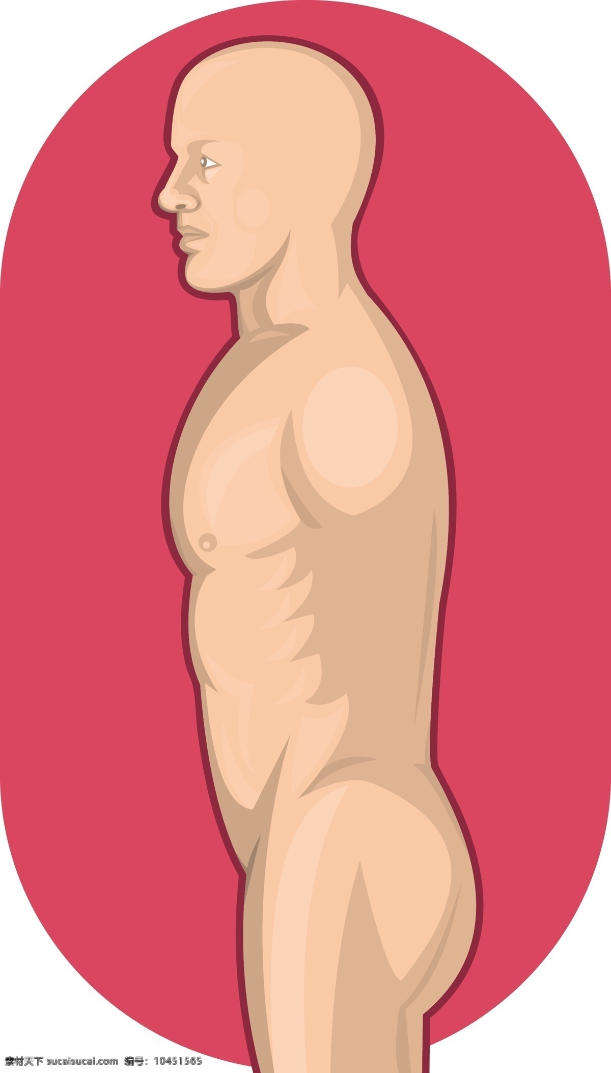 男性 人体 解剖 站 侧视图 粉色
