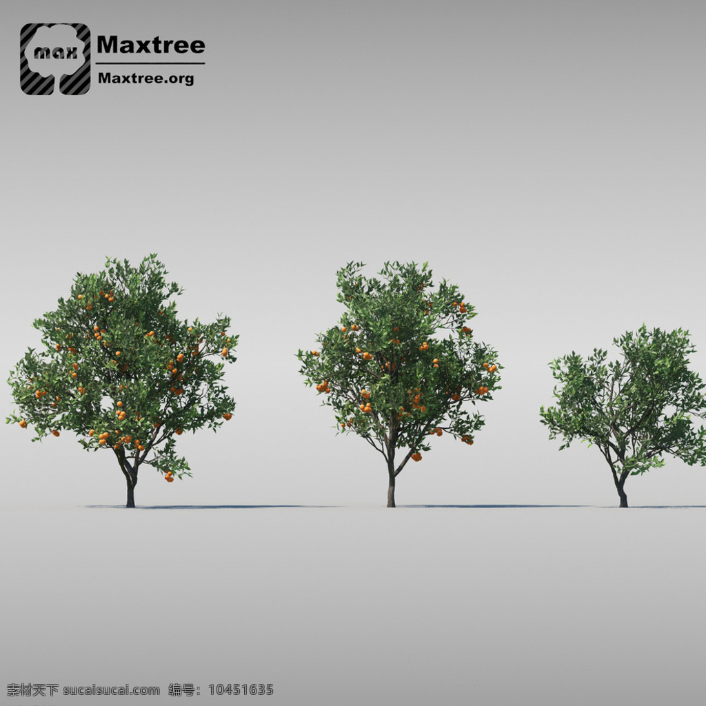 草 植物模型 草模型 花模型 室外模型 vray 树木模型 植物 街头道具模型 3d设计 max 灰色