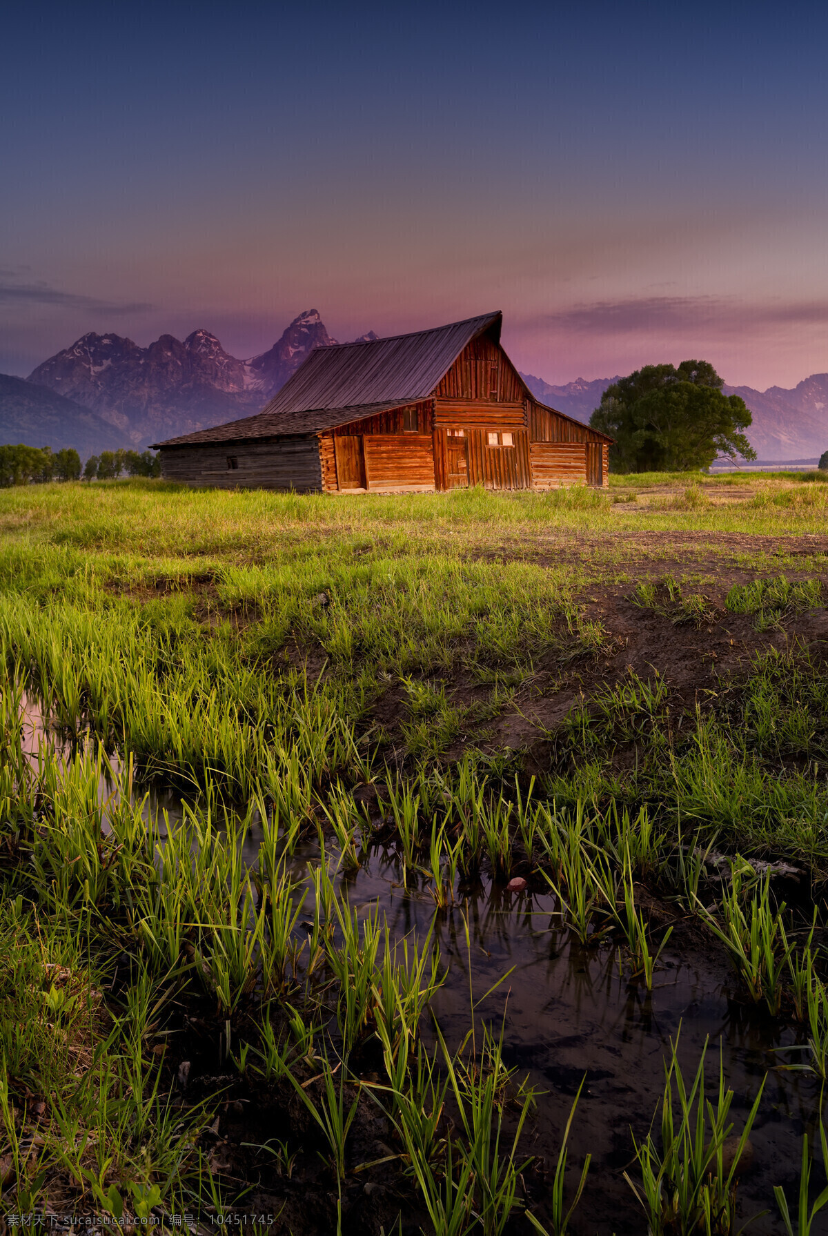 田地 旁 木屋 山峰 树木 植物 农作物 风景 山水风景 风景图片