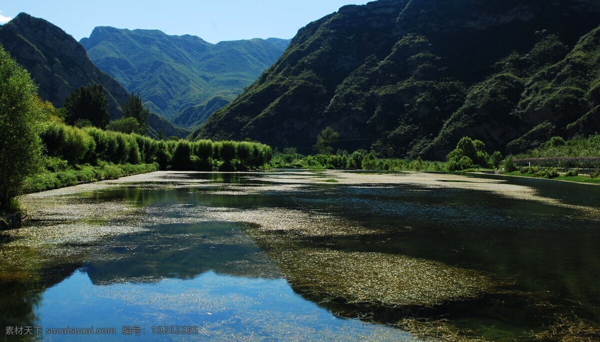 树免费下载 风景 绿色 山水风景 摄影图 树 植物 自然景观 水 家居装饰素材 山水风景画