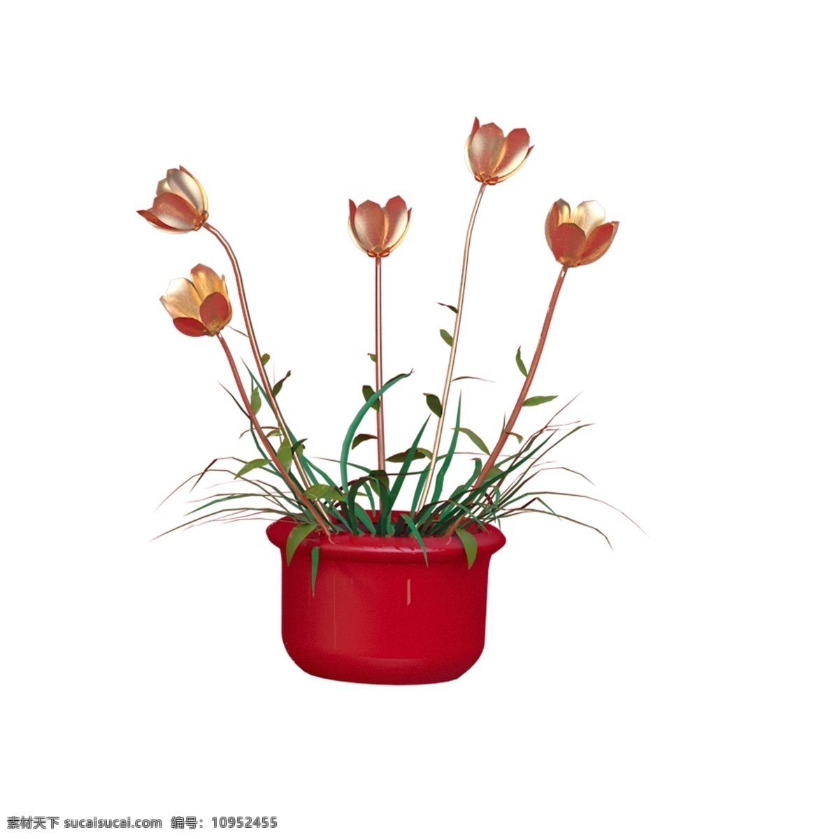 红色 创意 植物 花朵 元素 自然 环境 保护 景色 绽放 盆栽 大自然 叶子