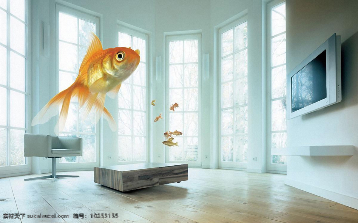 背景 壁纸 窗户 创意 电视 房间 金色 金鱼 鱼类 椅子 设计素材 模板下载 创意金鱼 psd源文件