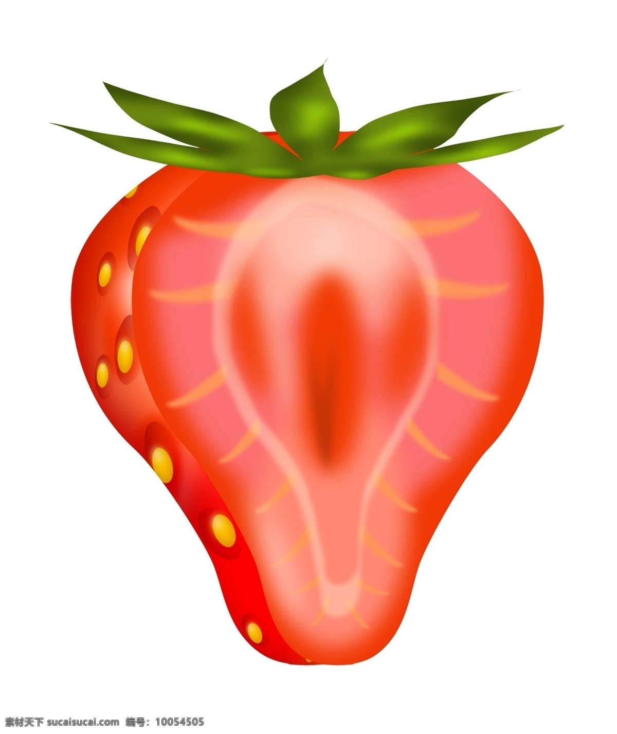 切开 草莓 手绘 插画 切开的草莓 红色草莓 新鲜草莓 美味的草莓 美食插画 水果插画 手绘水果 仿真草莓