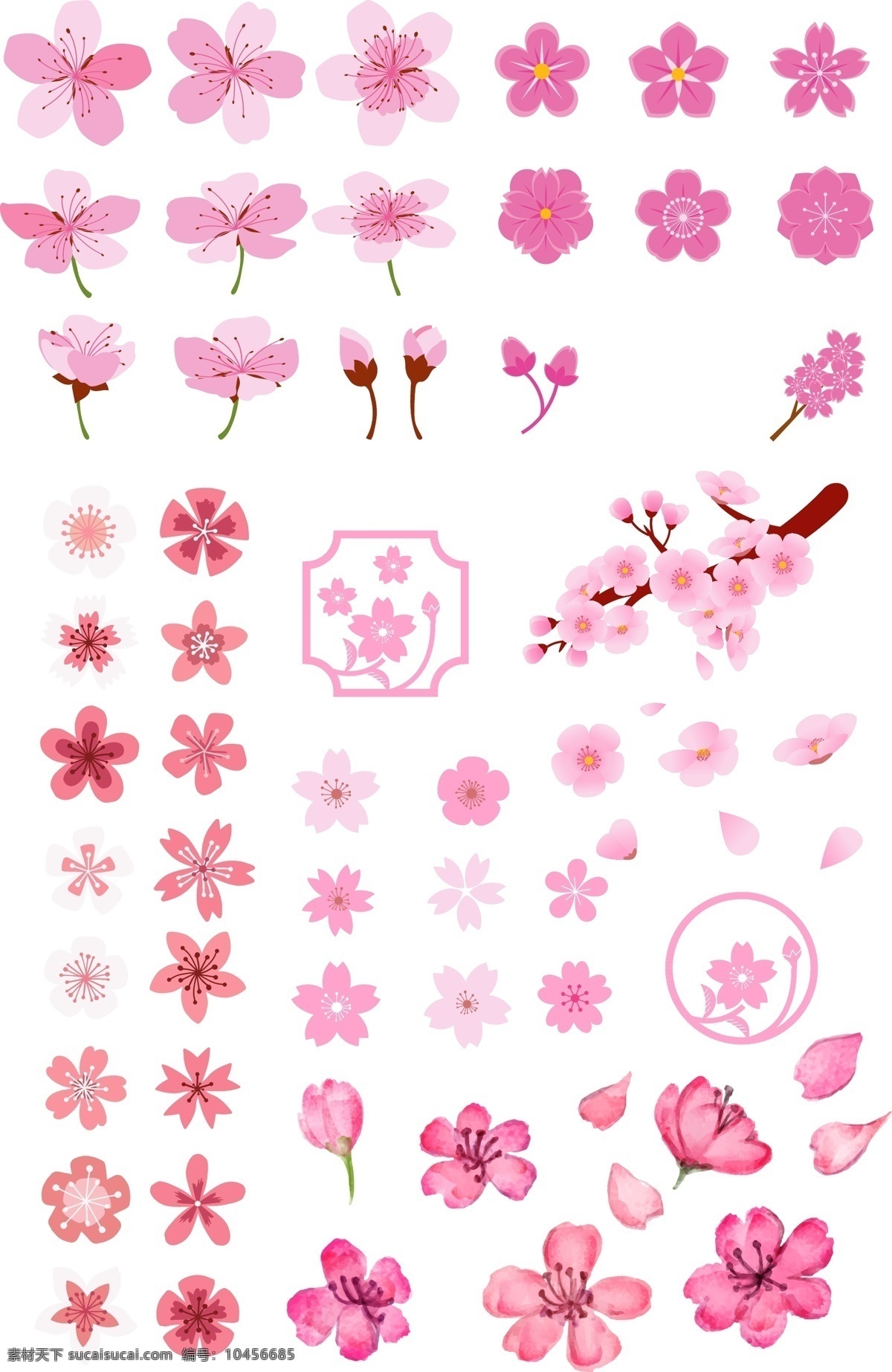 各类 花朵 矢量 源文件 粉红 桃花 节日 梅花