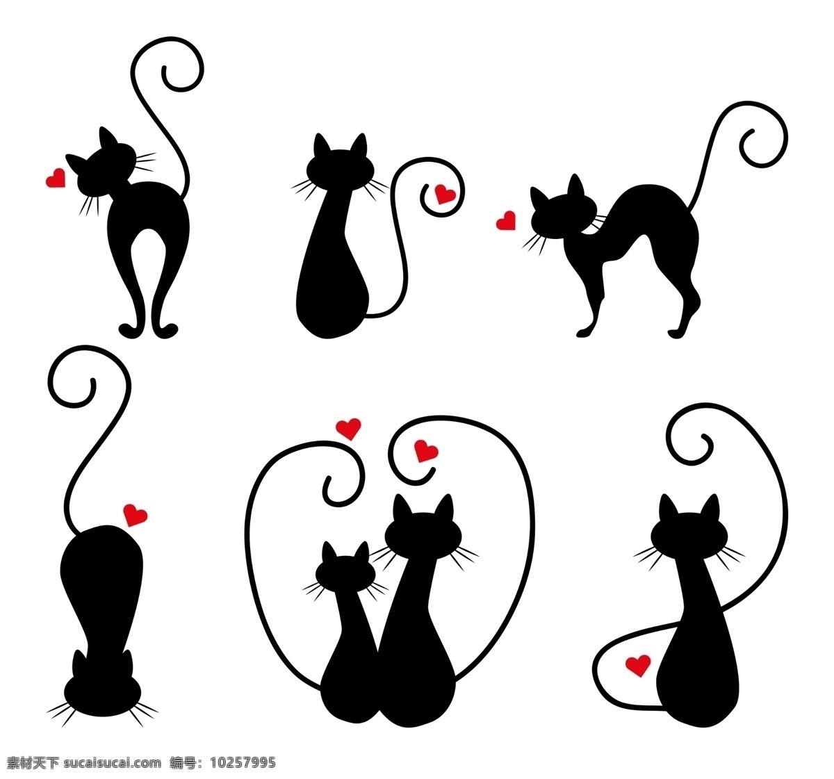 猫剪影 矢量猫 黑色猫 站立的猫 行走的猫 动物猫 卡通猫 猫黑色剪影