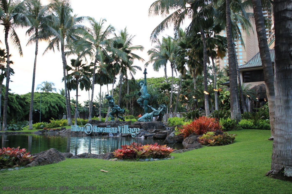 夏威夷风情 旅游胜地 度假 夏威夷 海景 椰树 园林 旅游摄影 国外旅游