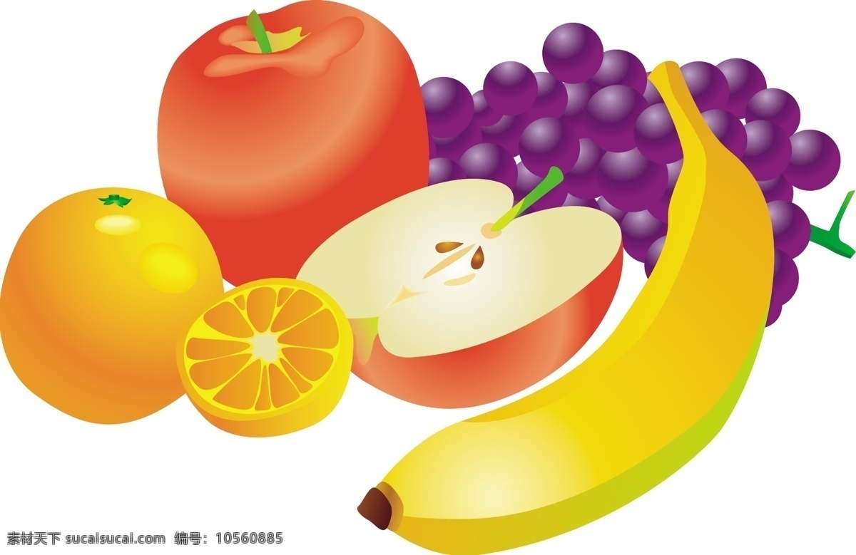 水果 矢量 橙子 火龙果 桔子 橘子 苹果 葡萄 生物 世界 矢量素材 矢量图 水果矢量素材 紫葡萄 香蕉 水果矢量图 其他矢量图